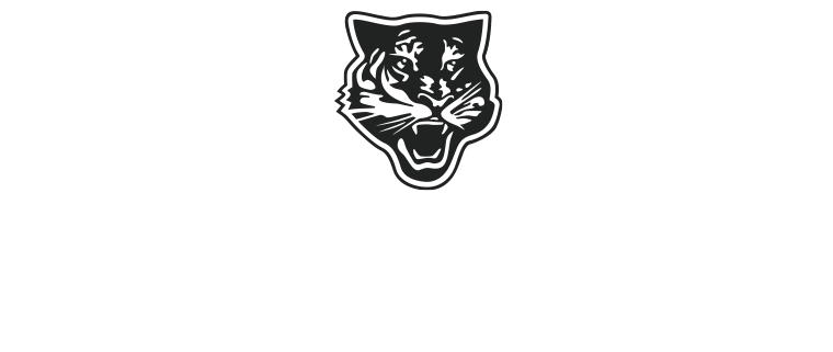 Onitsuka Tiger Brand History